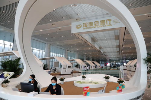 數(shù)智賦能新征程 中國自貿(mào)區(qū)如何助力企業(yè)管理升級(jí)助推經(jīng)濟(jì)高質(zhì)量發(fā)展